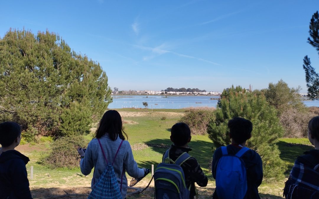 EL ROCÍO DESDE LA VERA