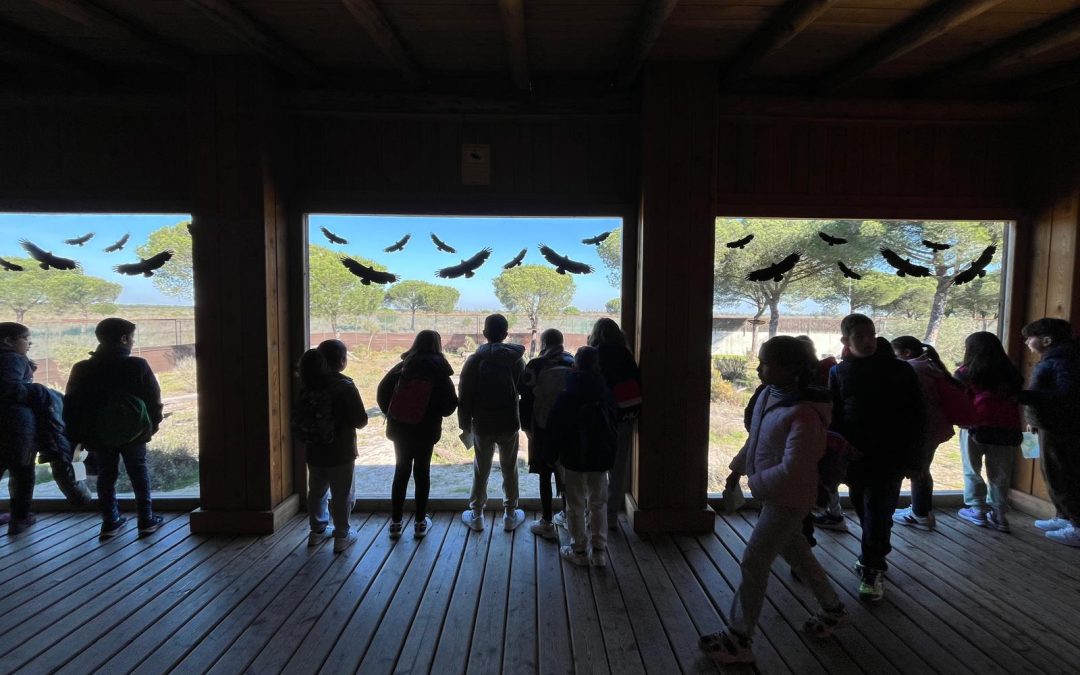 EXCURSIÓN AL CENTRO DE VISITANTES EL ACEBUCHE