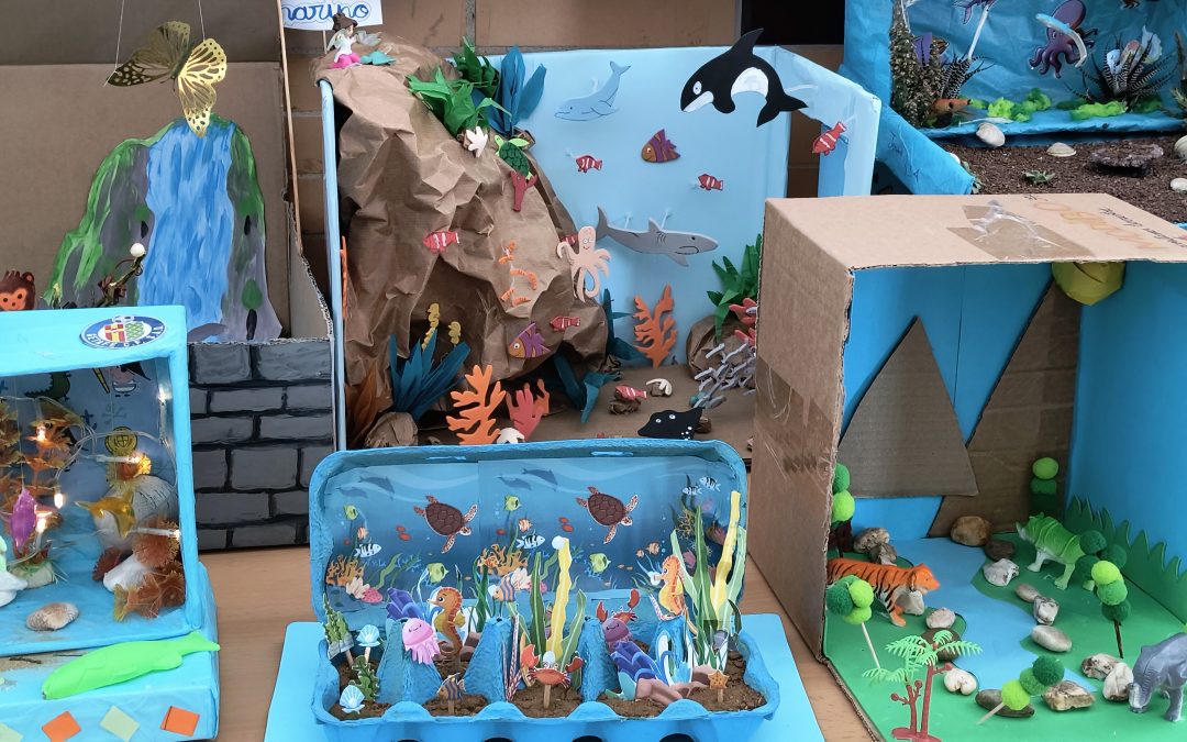 Explorando los ecosistemas: Un proyecto de 3º de Primaria