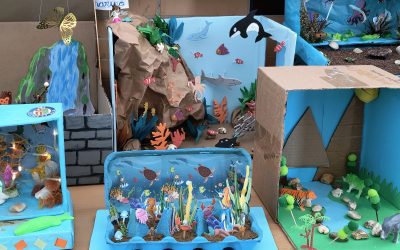 Explorando los ecosistemas: Un proyecto de 3º de Primaria