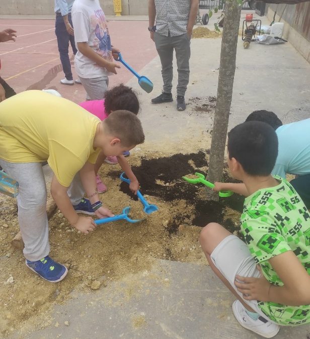 PLANTAMOS ÁRBOLES PARA MEJORAR LA VIDA
