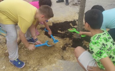 PLANTAMOS ÁRBOLES PARA MEJORAR LA VIDA